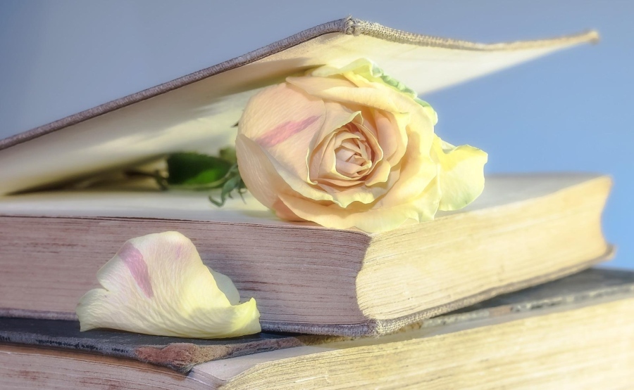 14  библиотеки ще обогатят своите фондове с нови книги